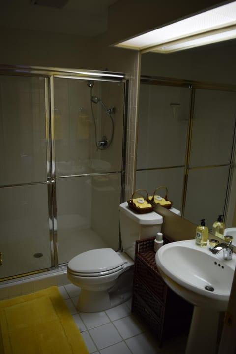 Combined shower/tub, jetted tub, hair dryer, towels