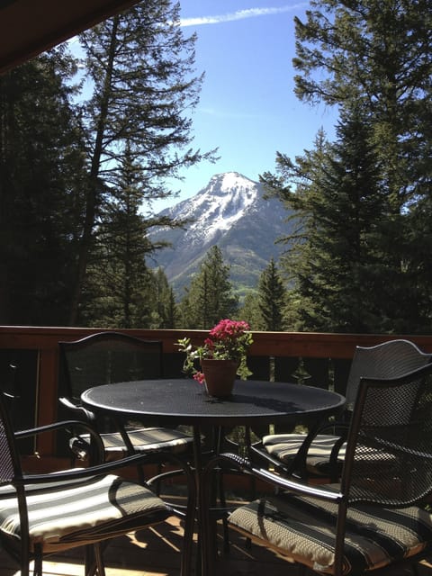 View of White House Mountain from deck in early summer.
