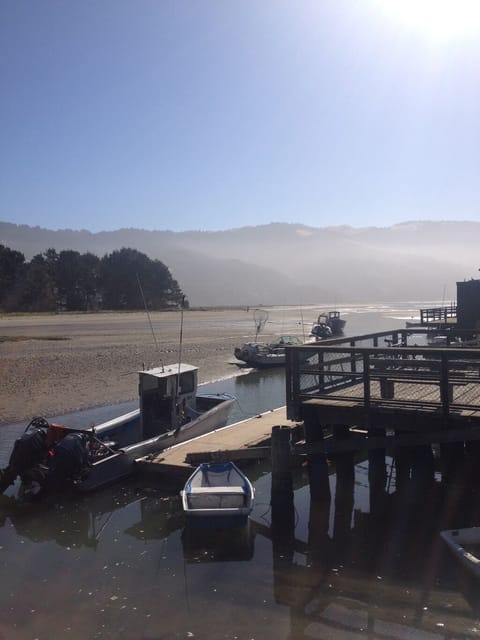 Bolinas Lagoon Low Tide (10 minute walk)