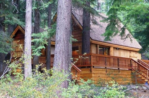 Front view in Summer. Pine trees provide privacy from quiet Ward Creek Road