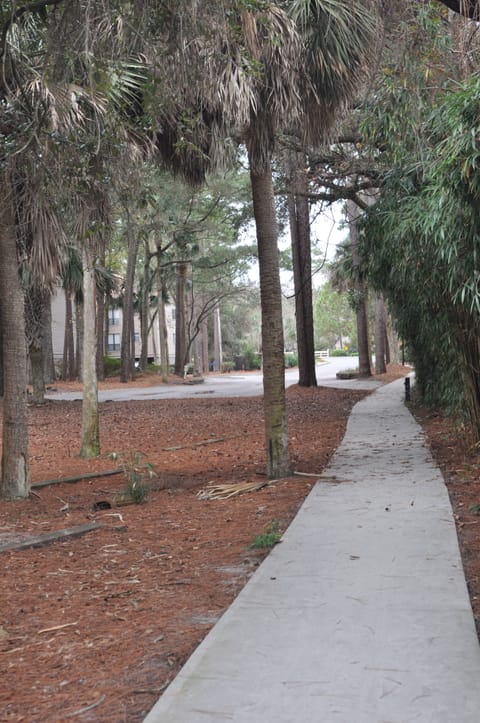 Paved path leading from complex to beach