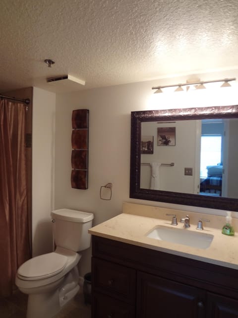 Combined shower/tub, hair dryer, towels