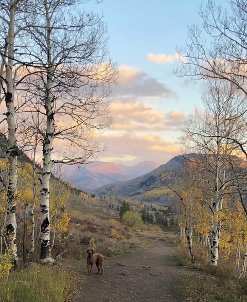 Woods Walk -- a favorite hike near town