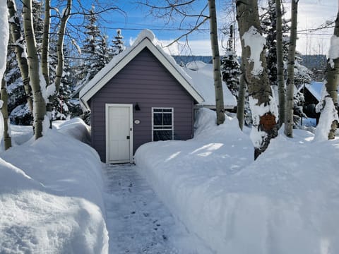 Gothic Cottage in Winter