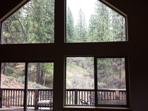 View from great room to Sierra woods