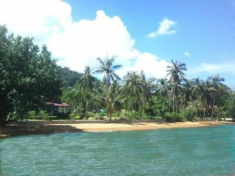 Beach nearby, sun loungers