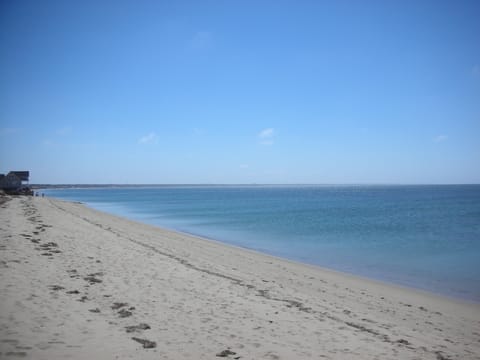 On the beach