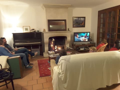 TV, fireplace, DVD player, books