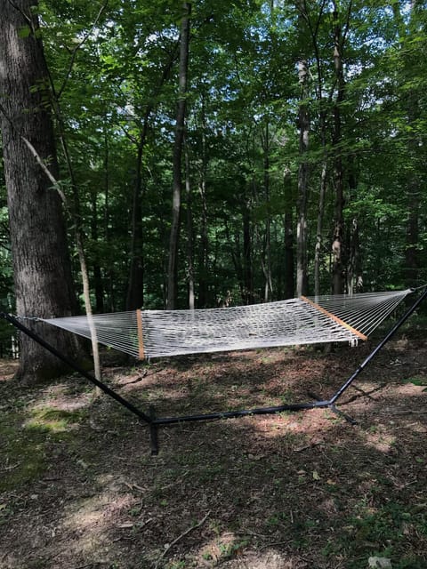 Relax in the hammock