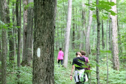 Hike the bruce trail; many sections are close by.

