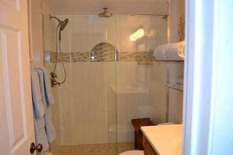 Combined shower/tub, hair dryer, towels