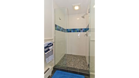 Combined shower/tub, jetted tub, hair dryer, towels