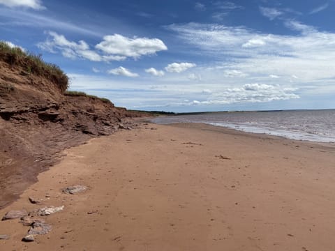 On the beach, sun loungers, beach towels