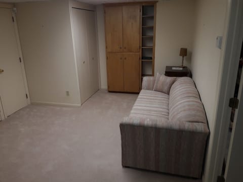 Pull out couch in private room in the finished basement