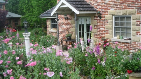 spring cottage garden   