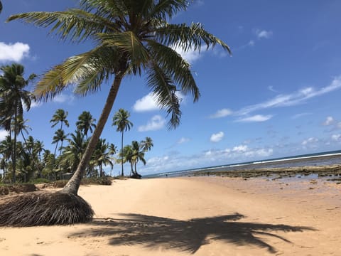 Sun loungers, beach towels