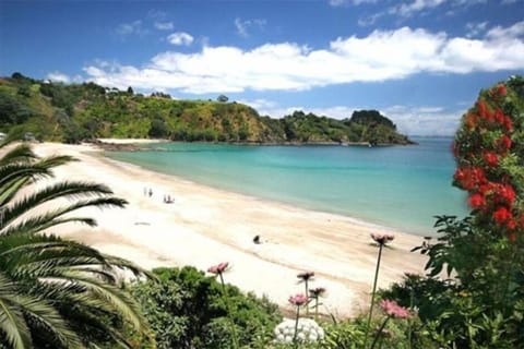 Beach nearby, beach towels