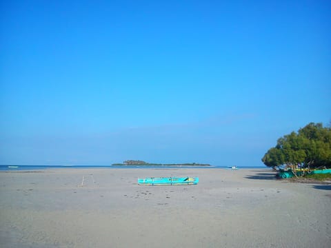 On the beach