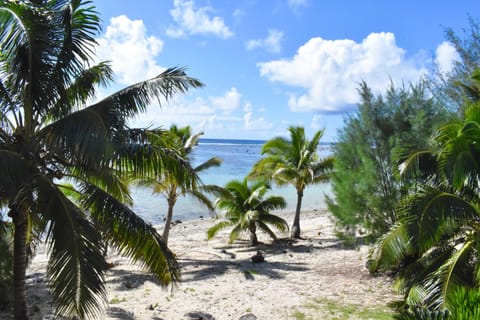 Beach nearby, beach towels