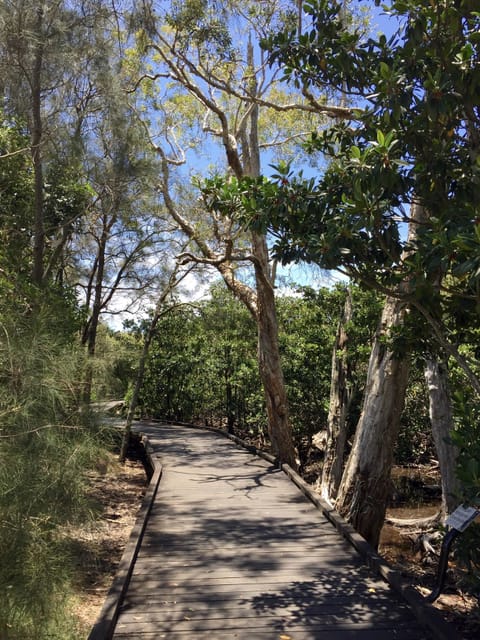 Th boardwalk through the mangroves is less than 5 minutes walk away