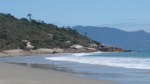 Beach nearby, sun loungers