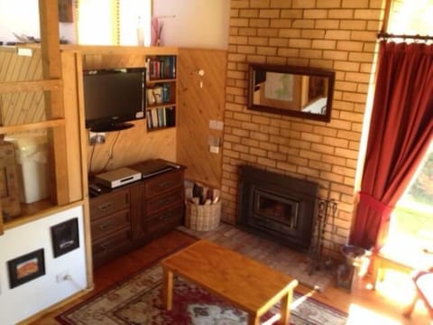 Smart TV, fireplace, DVD player, books