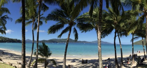 Beach nearby, sun loungers