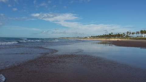 Beach nearby, sun loungers