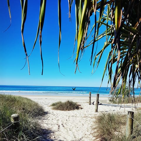 Beach nearby, sun loungers, beach towels