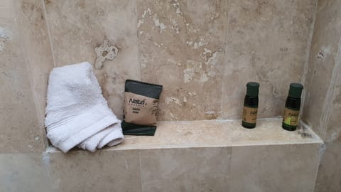 Shower, hair dryer, towels