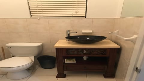 Combined shower/tub, jetted tub, hair dryer, towels