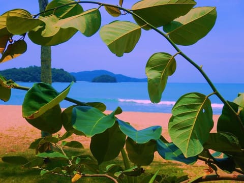 Beach nearby, sun loungers