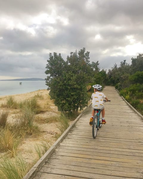 Cycle and walk the Bay Trail