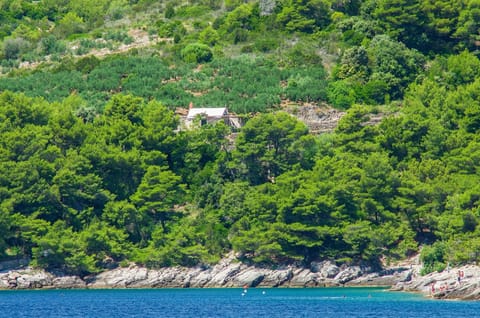 Cottage from the sea.