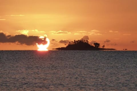 Apollo Jewel No 1 - South Mission Beach - Sunrise