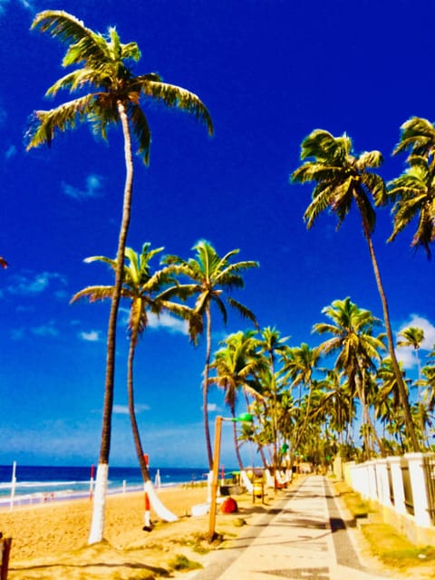 Beach nearby, sun loungers