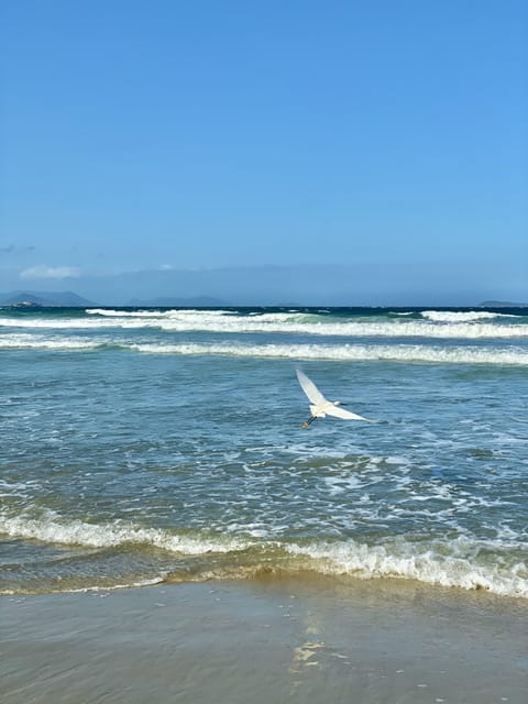 Beach nearby, sun loungers