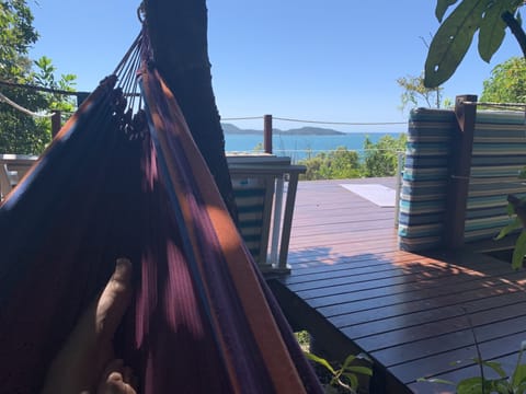 Hammock overlooking the sun deck over to Dunk Island in the distance
