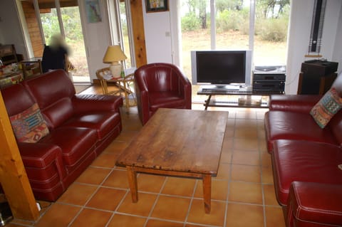 TV, fireplace, books, stereo