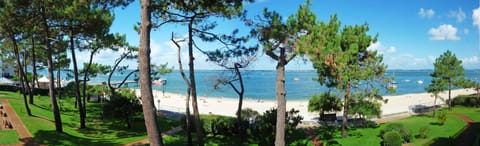 Beach | On the beach, sun loungers