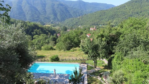 Pool view from the terrace