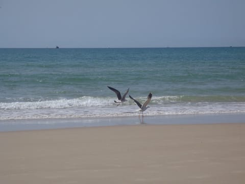 Beach nearby