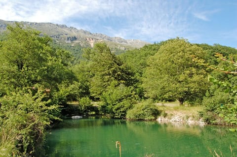 The trout farm in the garden