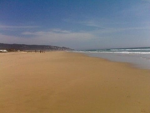 Beach nearby, sun loungers