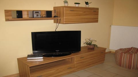 Flat-screen TV, DVD player, music library