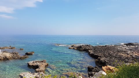 Beach nearby, sun loungers