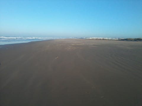 Beach nearby, sun loungers