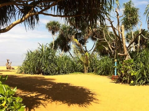 Sun loungers, beach towels