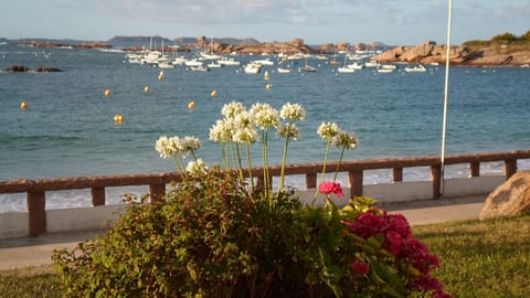 Beach nearby, sun loungers