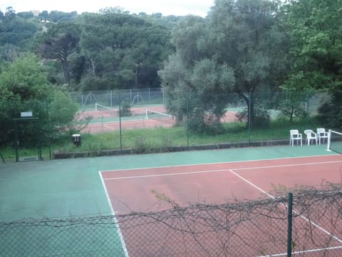 Sport court